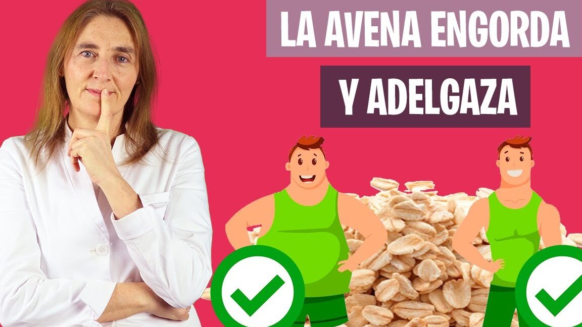 Avena ¿Engorda o enflaca? Todo Engorda