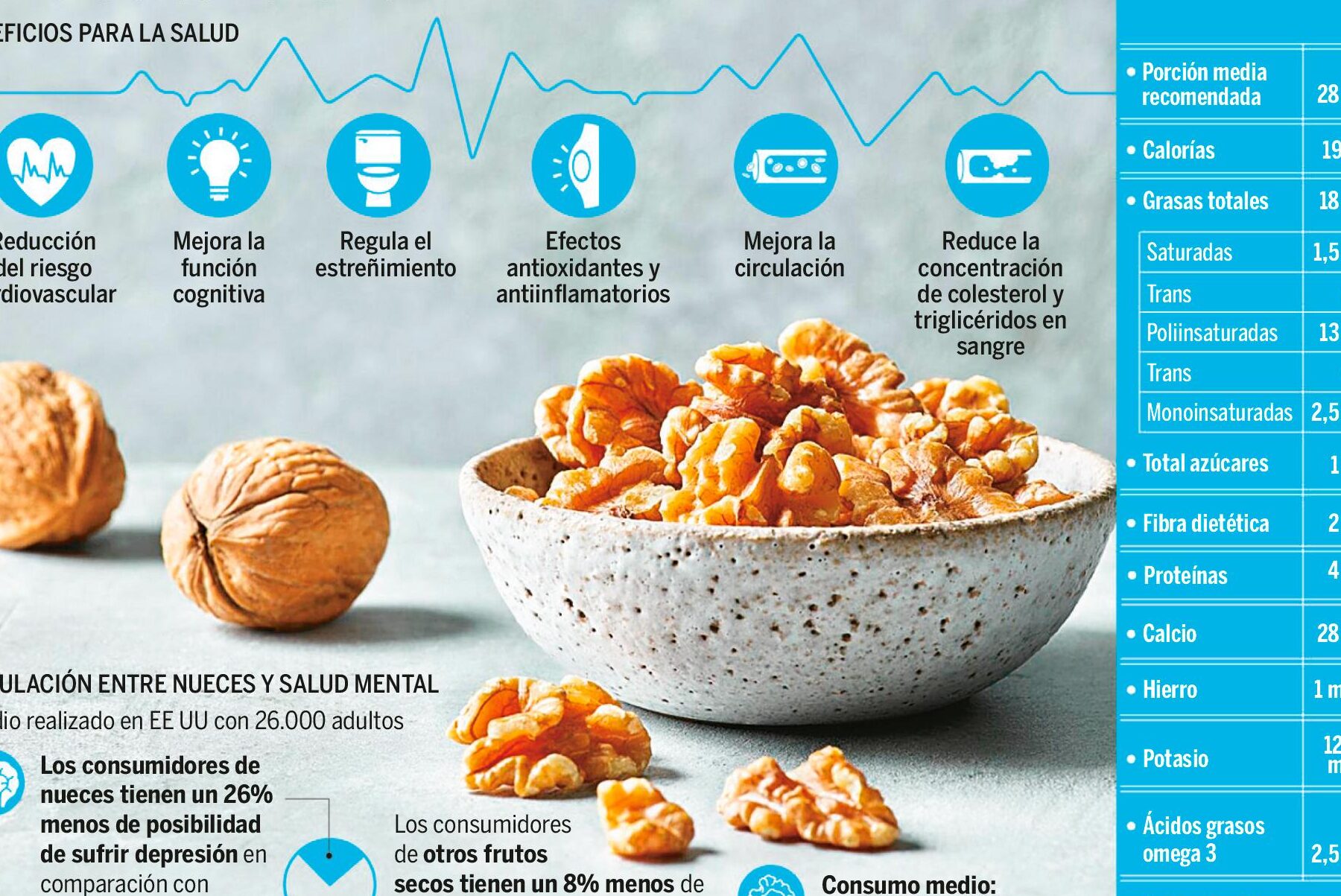 Cuantas nueces al día para no engordar - Todo Engorda