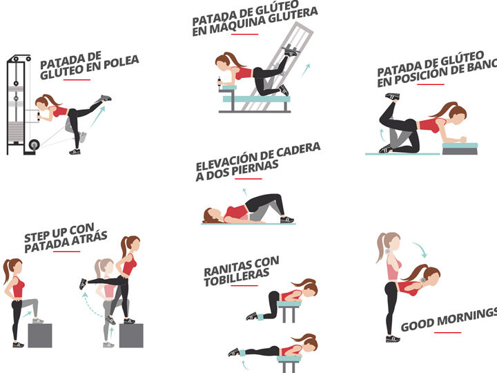 Ejercicios para engordar glúteos: ¡Desarrolla un trasero envidiable