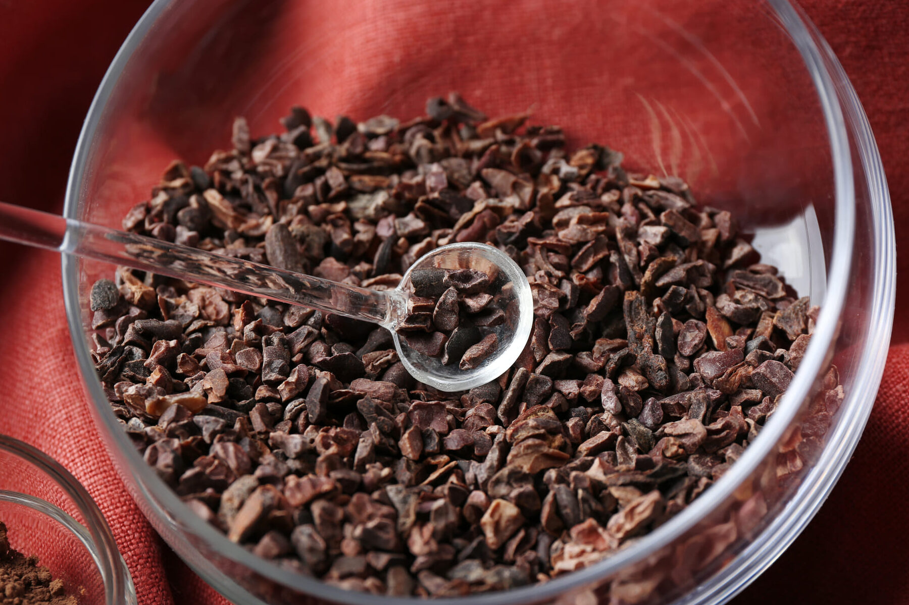 La cascarilla de cacao engorda ¿mito o realidad? Todo Engorda