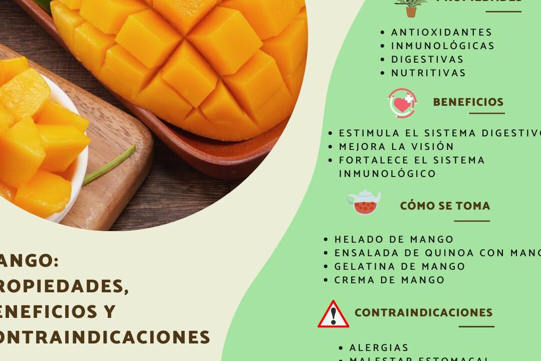 Propiedades Del Mango Engorda Todo Engorda Propiedades Del Mango Engorda Todo Engorda